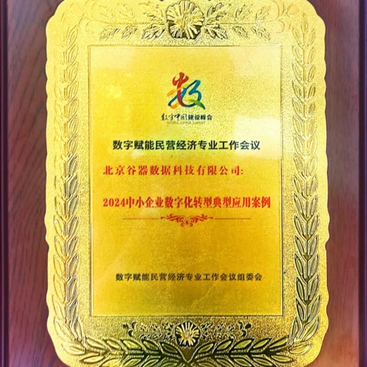 谷器数据出席数字中国建设峰会并入选“2024中小企业数字化转型典型应用案例”(图3)